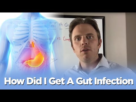 How Did I Get A Gut Infection - SIBO, Parasite, H.pylori and Fungal Overgrowth