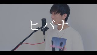 [cover] ヒバナ / PARED