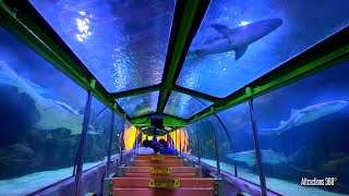 Shark Train Ride with a SURPRISE Shark Finale! Unique Train Ride Adventure 2025