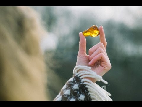 Leta: A Trip to Kaliningrad