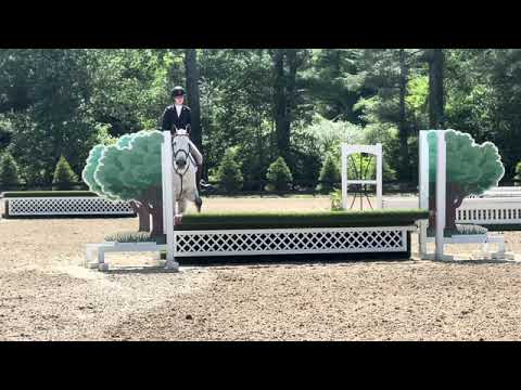 CMS Levantos video 2