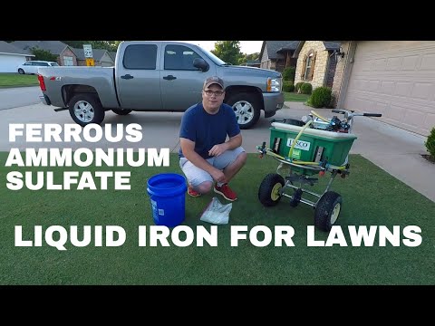 Ferrous Ammonium Sulfate Spraying Grass