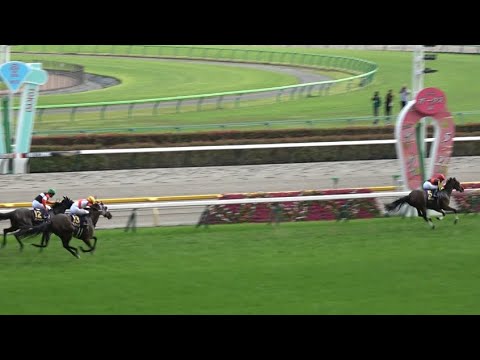 【オークス2023】リバティアイランド 6馬身差の圧勝劇【現地レース映像】