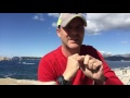 Steve Mann Q&A