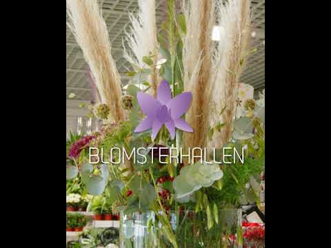 Fixa ett färggrant arrangemang med blomsterfakir