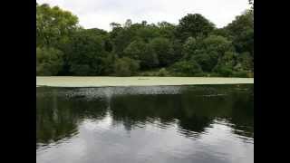 Sweet Dancer - Les Trois Tetons