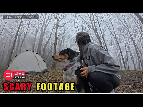 3 Hours of the Most Disturbing Camping Encounters That’ll Keep You Up at Night