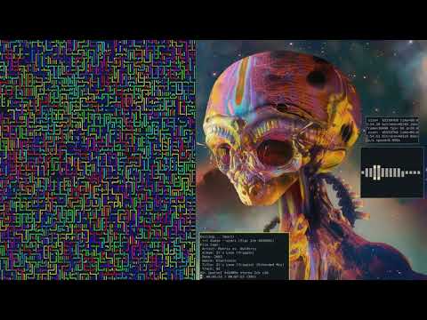 Matrix vs. Goldtrix - It's Love (Trippin) (Extended Mix) [FLAC HQ] {Linux Terminal Visuals}