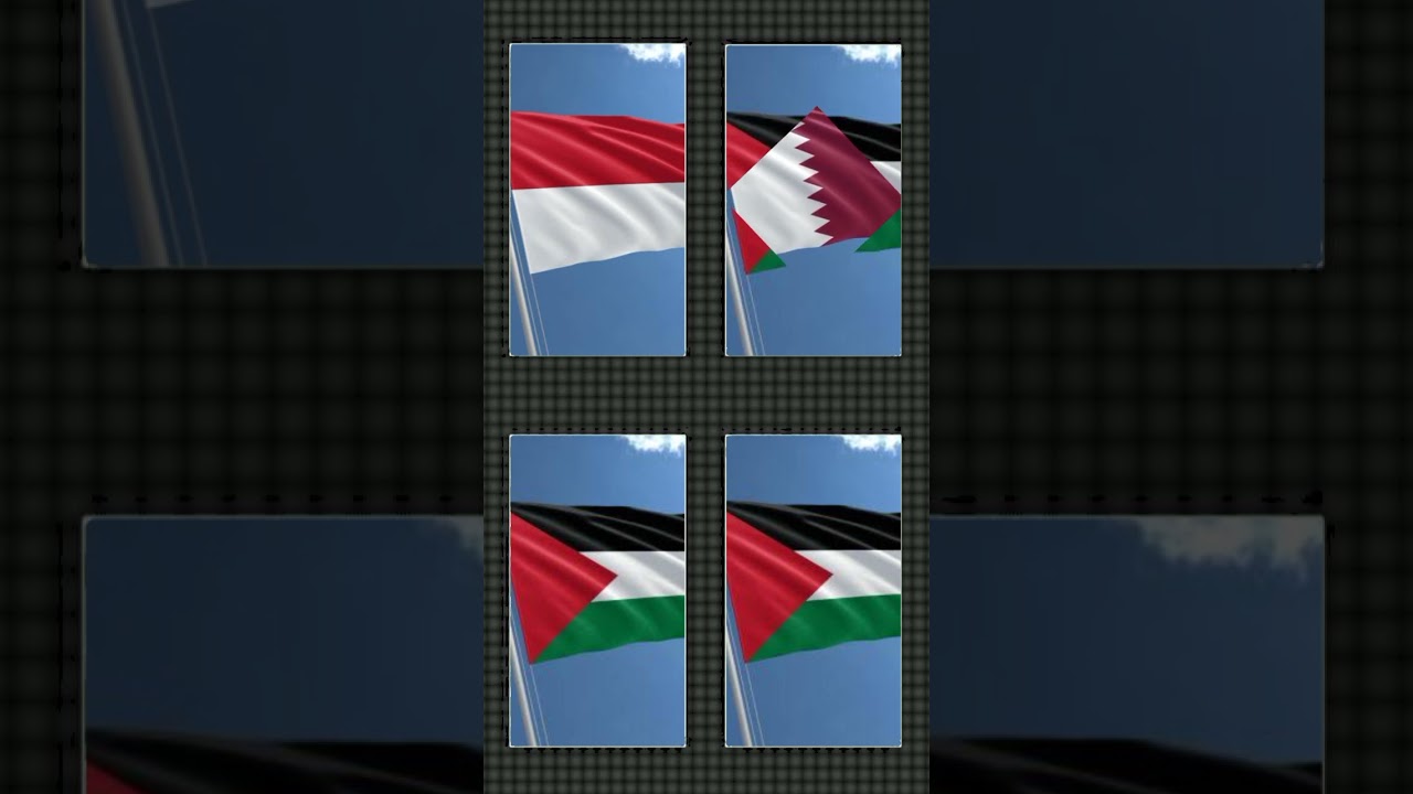Collab Ber 4 Versi Negara Yang Menyukai Palestina#shorts #subscribe #munculberanda #freepalestina