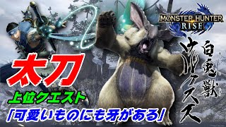 【MHRise】上位クエスト 太刀 ウルクスス：可愛いものにも牙はある「モンハンライズ」