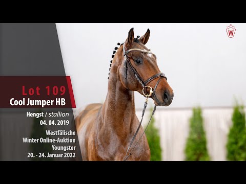 Online Winter-Auktion Lot 109 Cool Jumper HB Hengst v. Conthargos - Calido