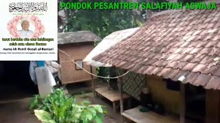 Download lagu Ponpes Salafi Almagfurlah Mama KH Romli Gozali mp3 Download lagu Ponpes Salafi Almagfurlah Mama KH Romli Gozali mp3