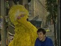 2340 Big Bird Learns About Perspiration