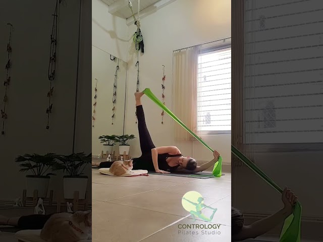 Vídeo relacionado con ALongSong Kit de Pilates | 6 Bandas de Resistencia (20/30/40LBS) | Barra de Pilates | Ancla de Puerta y Mangos | Equipo de Ejercicio para Gimnasio en Casa | Naranja Coral