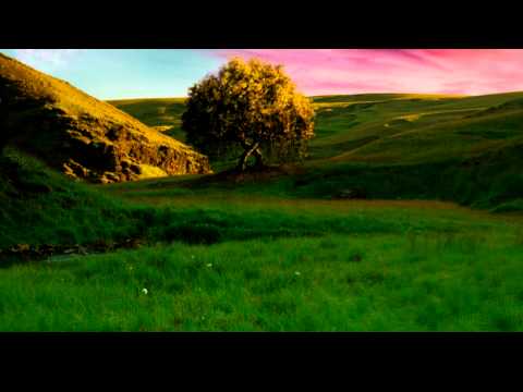 Stvoření světa z filmu Noe (HD)