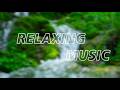 Relaxing Music Fall into Sleep