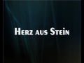 Megaherz - Herz aus Stein (+ Lyrics) HQ 