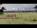 Big Cat Tales Season 2 Trailer