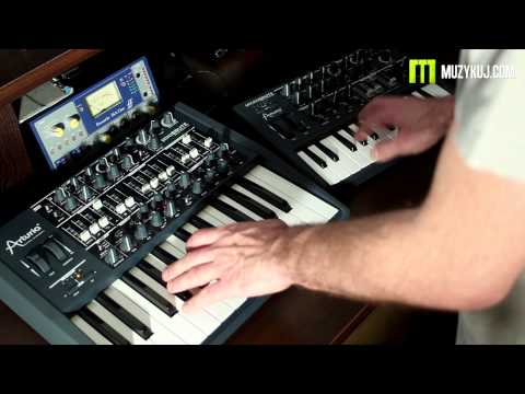 Microbrute VS MiniBrute
