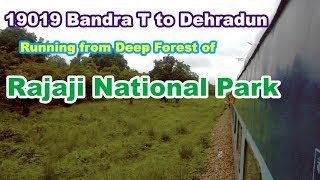 preview picture of video 'Haridwar to Dehradun Train Route | Dehradun Express Running within Rajaji National Park'