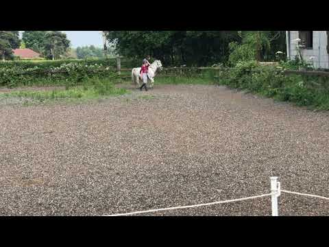4 year old Freya learning to horse ride