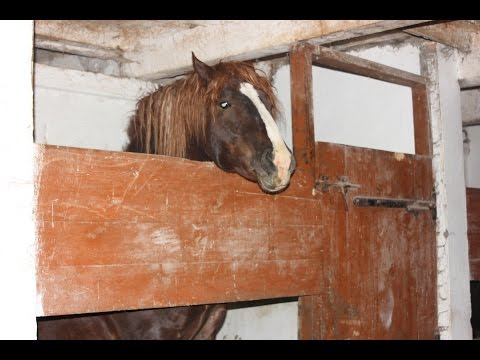 Симптомы болит спина нет месячных Разрыв связки коленного сустава лечение