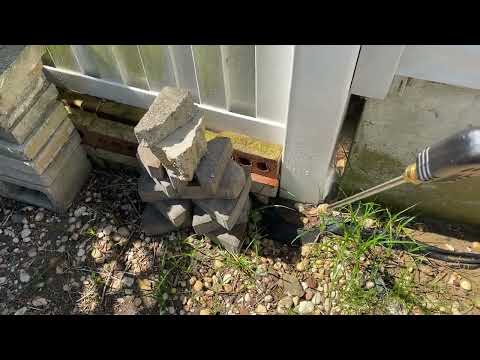 Ants Trailing Along the Home and the Fence in Sewaren, NJ