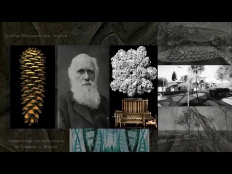 2016 Ryerson 3MT Participant: Babak Teimoori