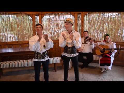 Pensiunea Silvia (Vadu Izei, Maramures, Romania)