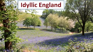 Idyllic Walk In English Countryside - Virtual Treadmill Walking Scenery