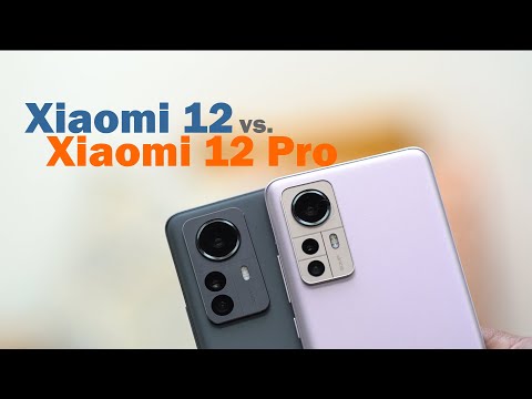Xiaomi 12 Pro vs Xiaomi 12 Comparison Review