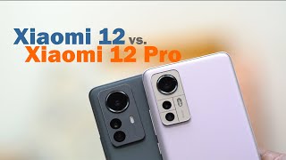 Xiaomi 12 Pro vs Xiaomi 12 Comparison Review
