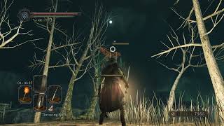 Brosouls 2 Part 5 Pit and Skeleton Troubles