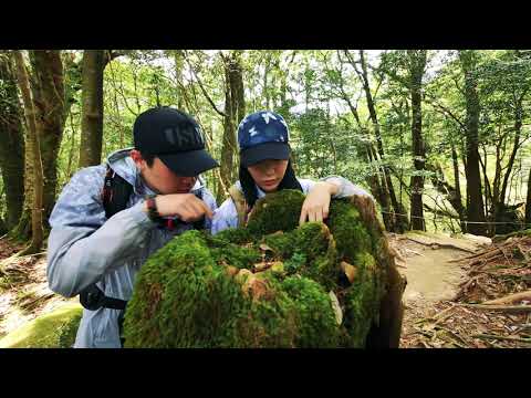 야쿠시마 Yakushima Island 01