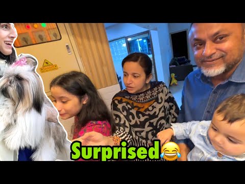 Saba recibió un regalo de perro en su aniversario, una broma con su familia😂 |