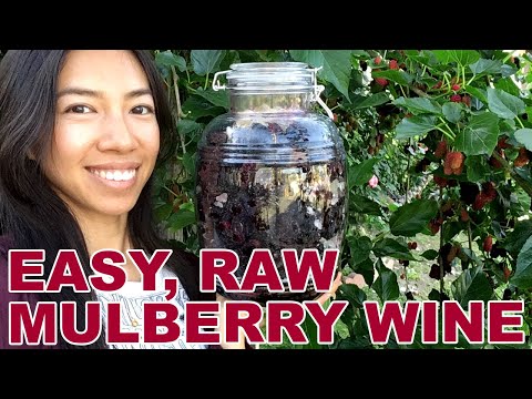 How To Make Wine With 2 Ingredients