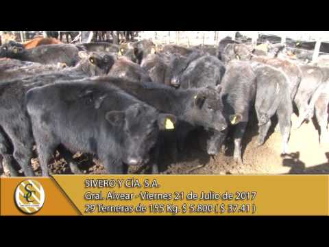 21-07-17 Venta de Hembras - Sivero y Cía. S.A. - Gral. Alvear