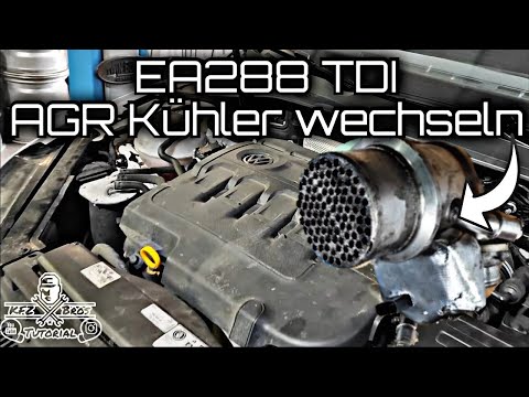 AUDI SEAT SKODA VW | Golf 7 | EA288 TDI | *DGCA* | Replacing the EGR cooler | Torque values