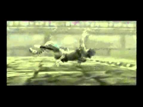 Shadow of the Colossus Tribute