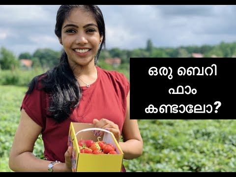 BERRY FARM IN GERMANY | self Picking| Strawberry| Raspberry| Blueberry| EAT UNLIMITED