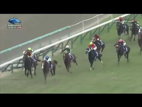2018.12.16 Asahi Hai Futurity Stakes (JPN) - Admire Mars