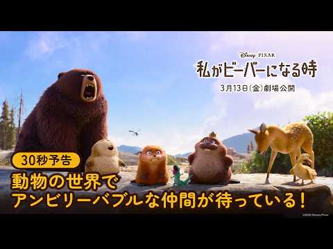 私がビーバーになる時 Video3
