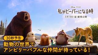 30秒予告｜動物の世界でアンビリーバブルな仲間が待っている！