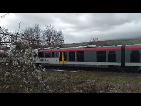 Zwei HLB Desiro VT 642 in Wiesbaden Igstadt.