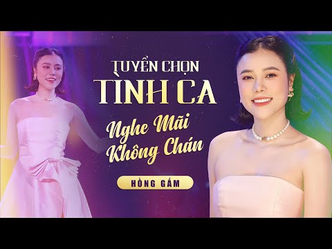 Playlist Hồng Gấm, Tuyển Chọn Tình Ca Lãng Mạn Nghe Mãi Không Chán | Tình Khúc Phòng Trà Sang Trọng