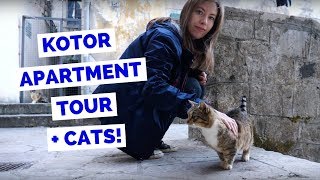 Kotor Apartment Tour in Montenegro