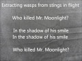 Who Killed Mr. Moonlight- Bauhaus Lyrics