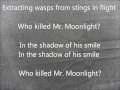 Who Killed Mr. Moonlight- Bauhaus Lyrics 