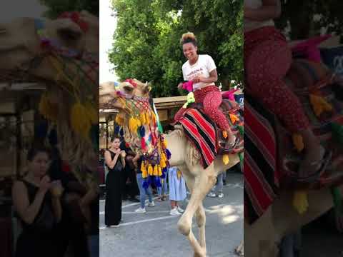 First Camel Ride!