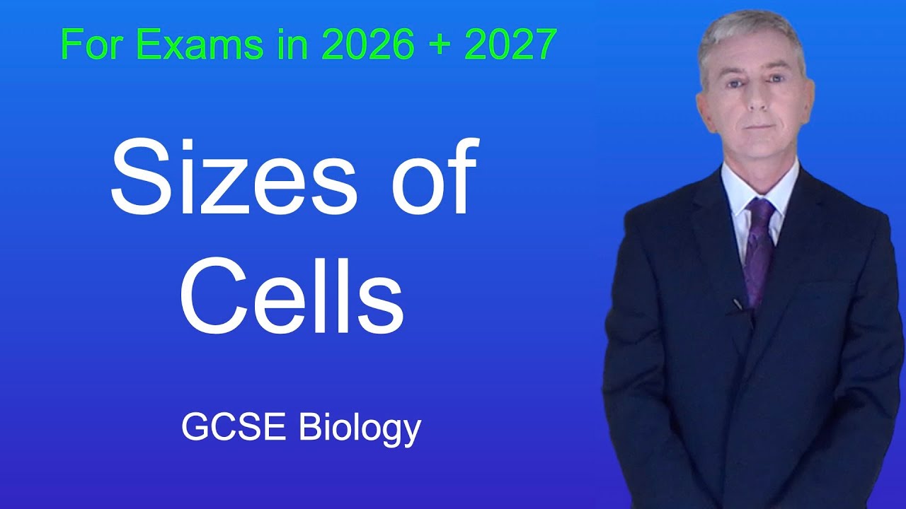 GCSE Biology Revision "Sizes of Cells"